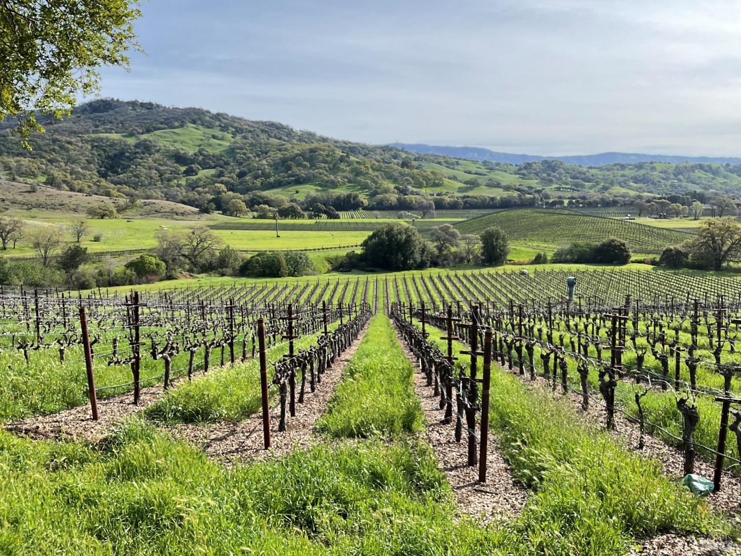 4060 Monticello Road Napa CA 94558