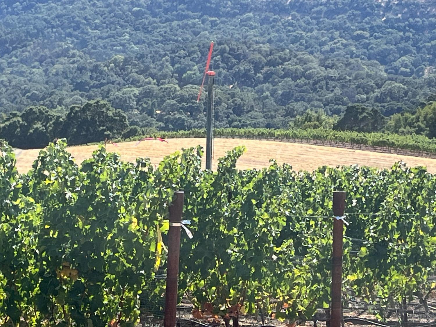 4060 Monticello Road Napa CA 94558