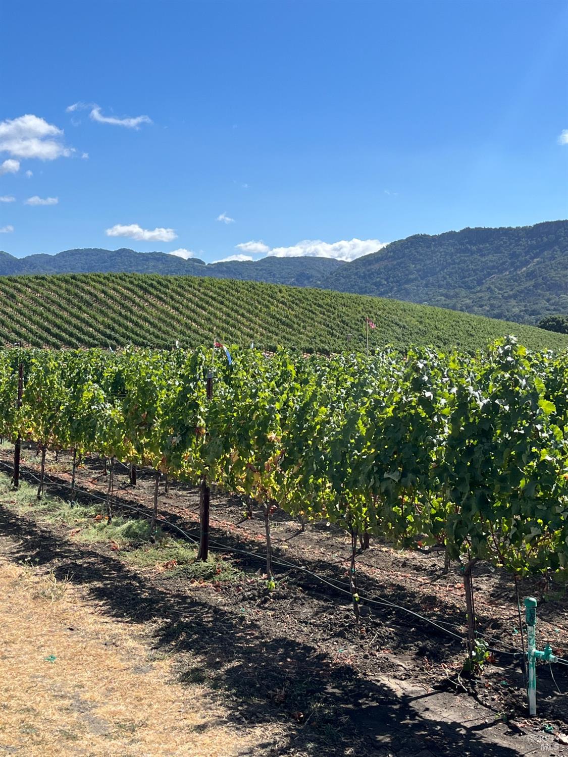 4060 Monticello Road Napa CA 94558