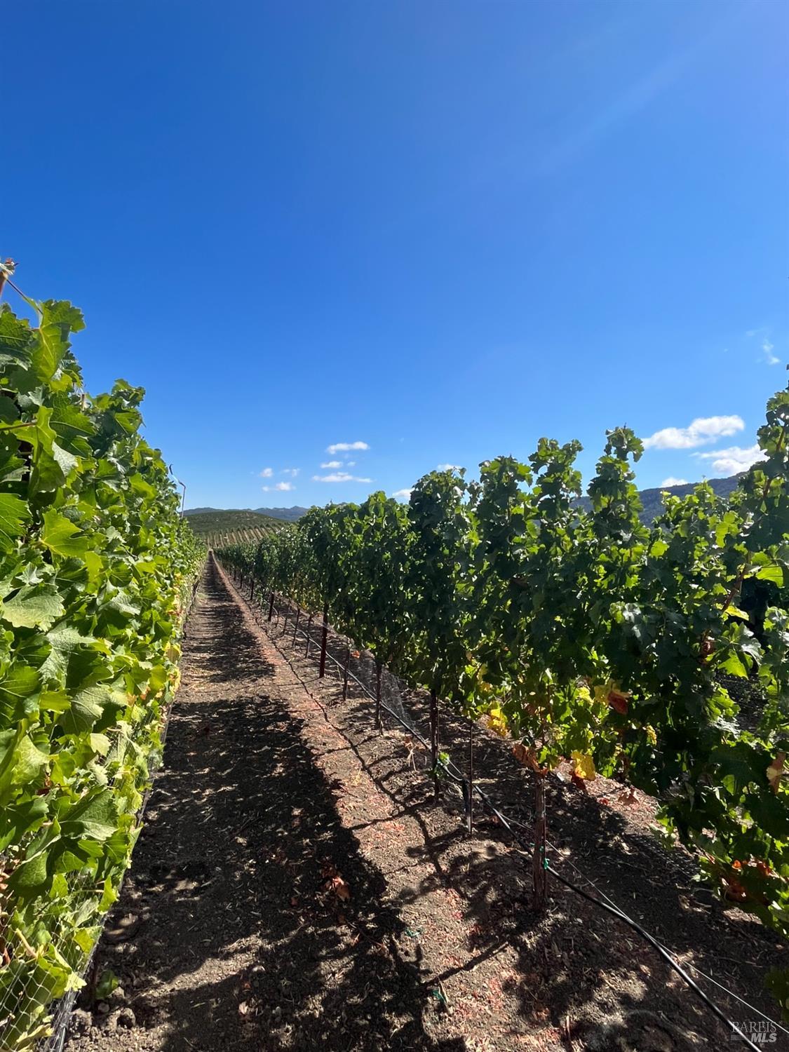 4060 Monticello Road Napa CA 94558