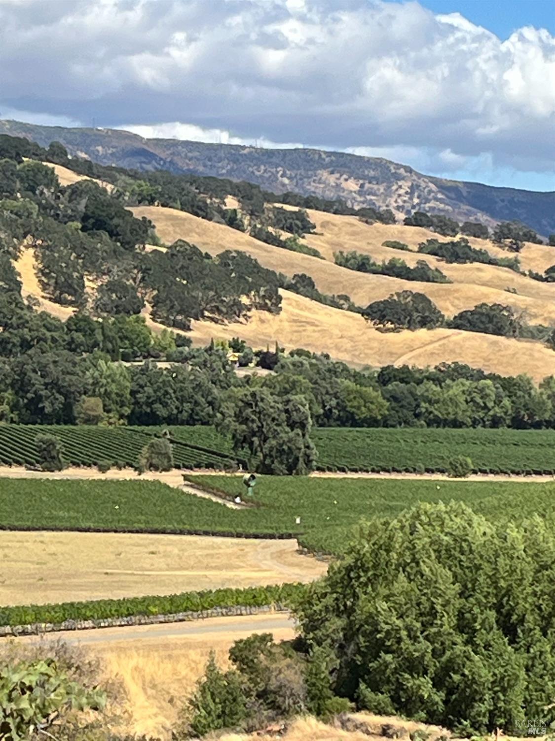 4060 Monticello Road Napa CA 94558