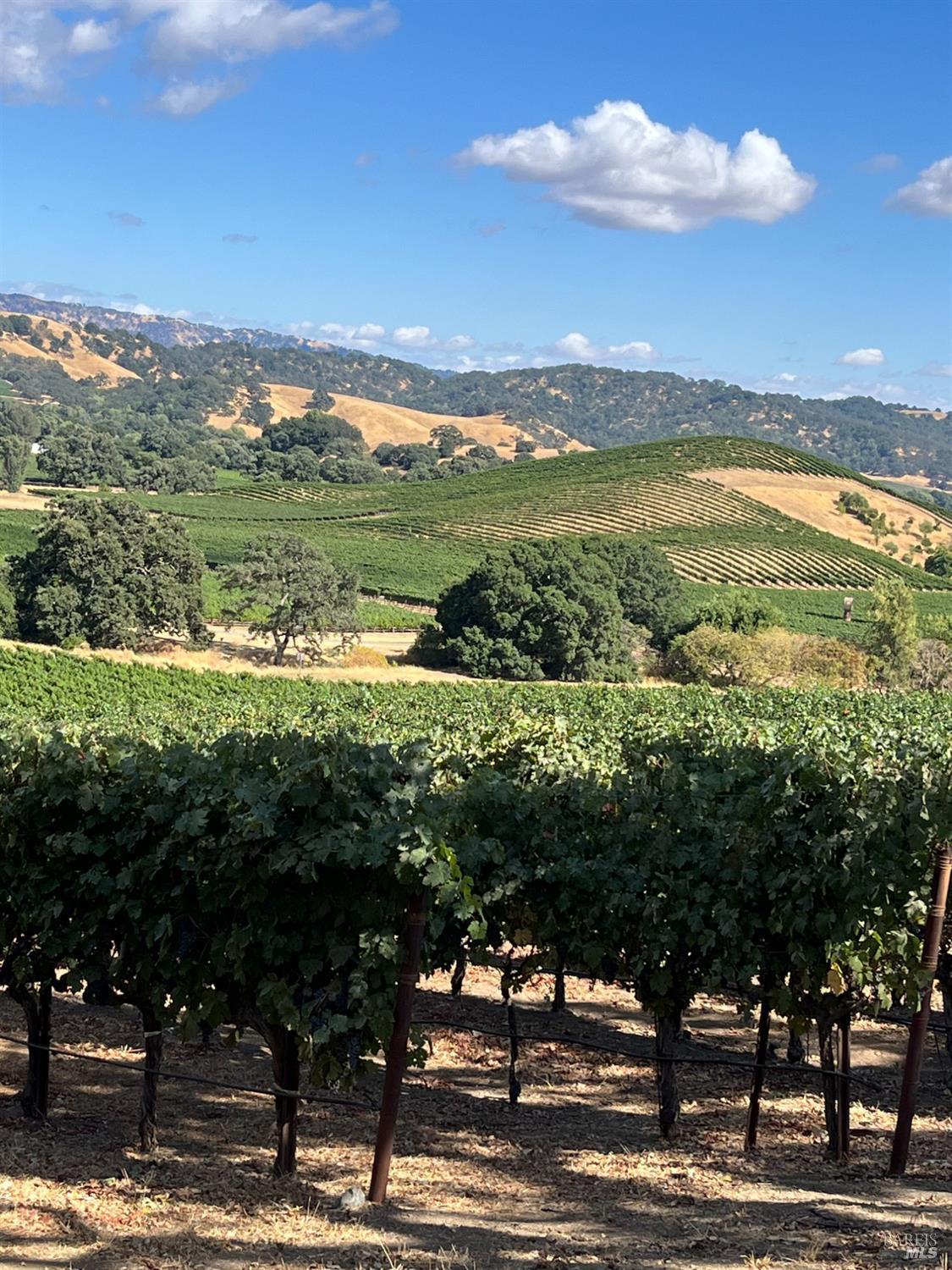 4060 Monticello Road Napa CA 94558
