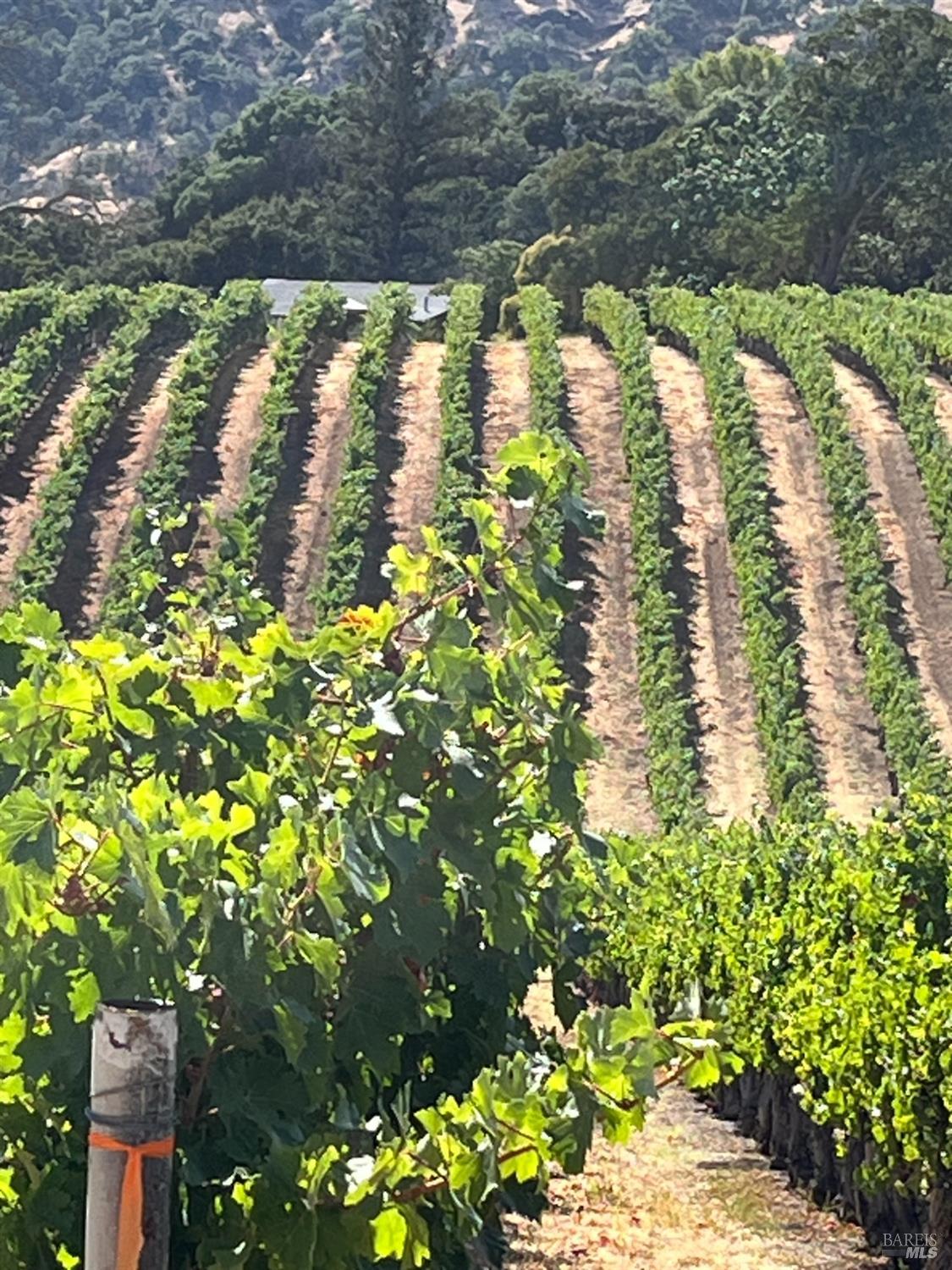 4060 Monticello Road Napa CA 94558