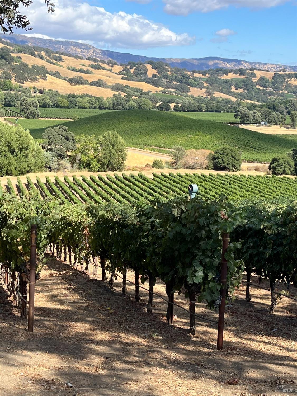 4060 Monticello Road Napa CA 94558