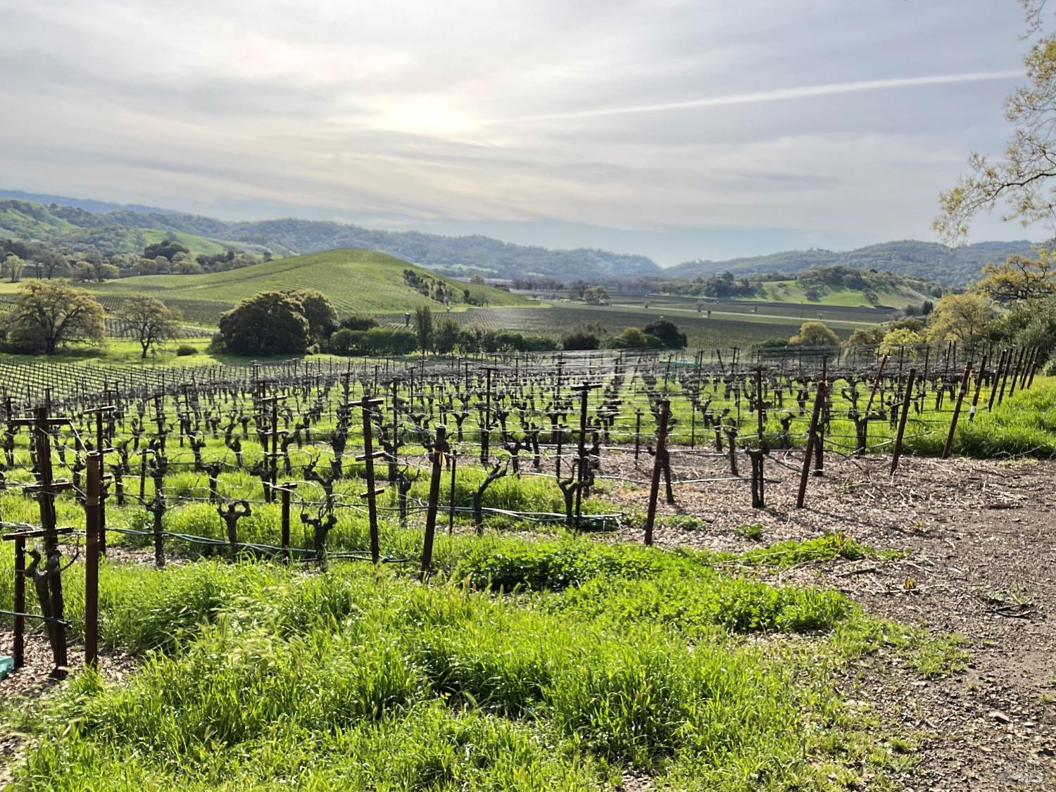 4060 Monticello Road Napa CA 94558