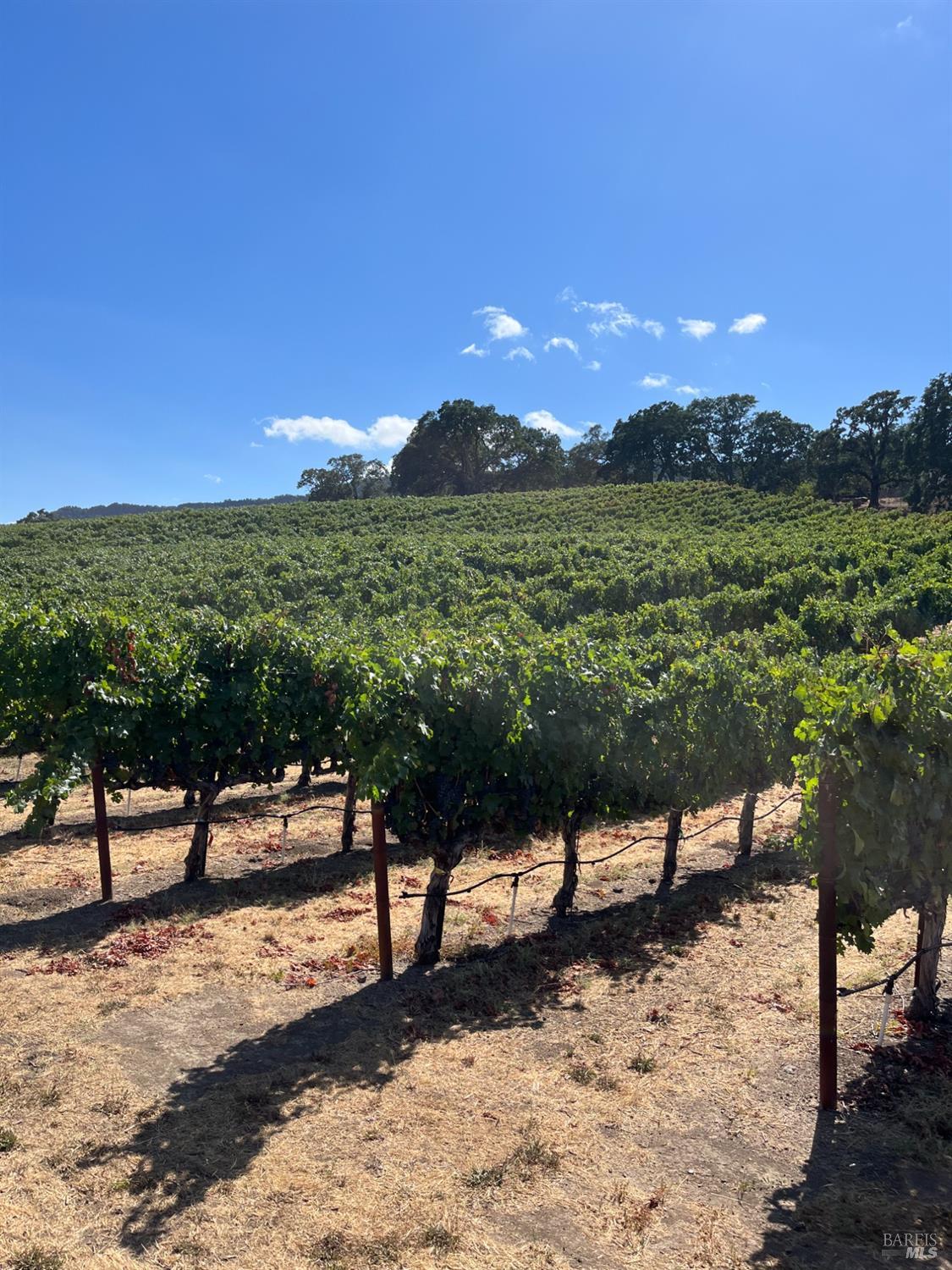 4060 Monticello Road Napa CA 94558