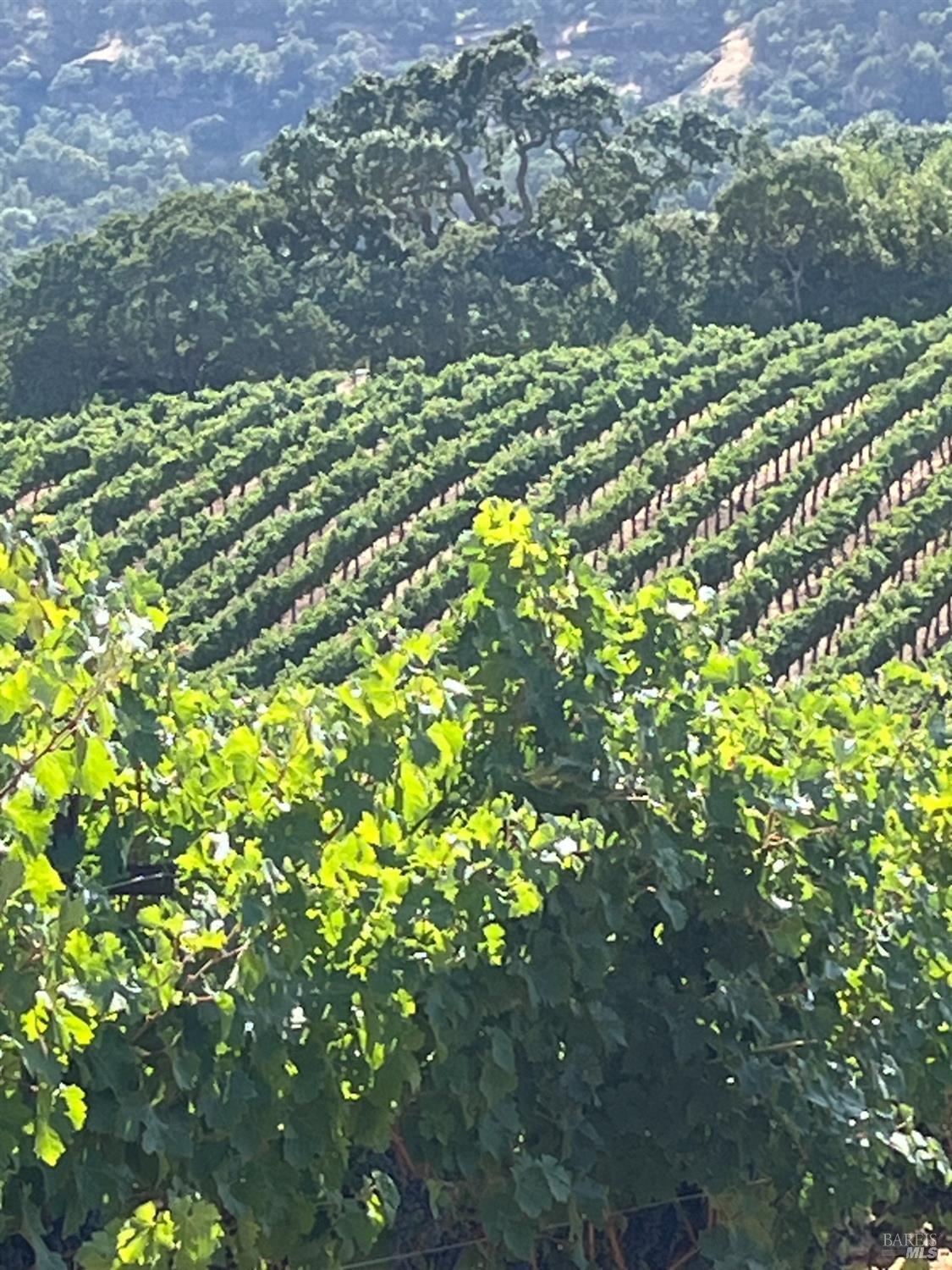 4060 Monticello Road Napa CA 94558