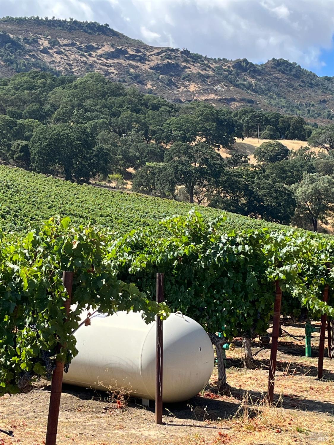 4060 Monticello Road Napa CA 94558