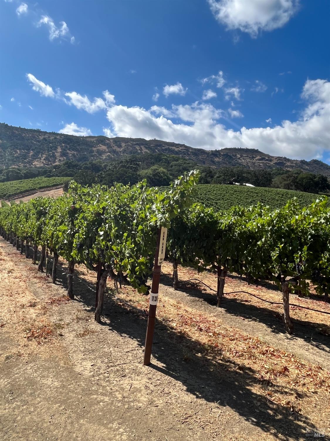 4060 Monticello Road Napa CA 94558
