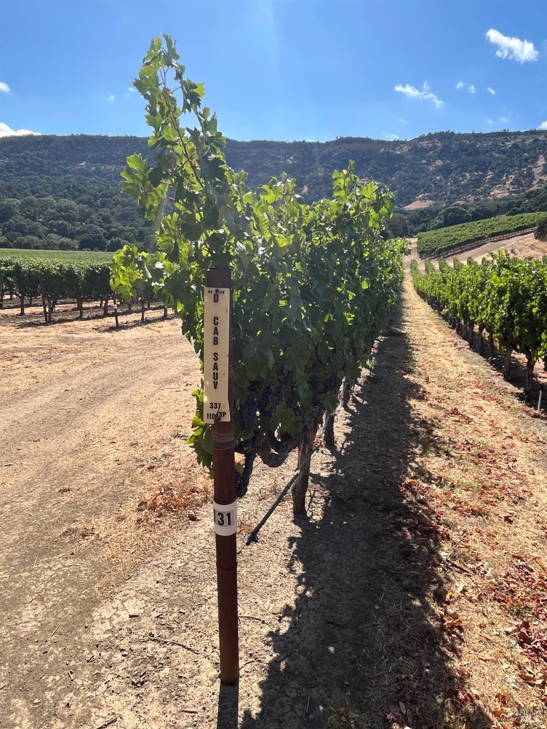 4060 Monticello Road Napa CA 94558