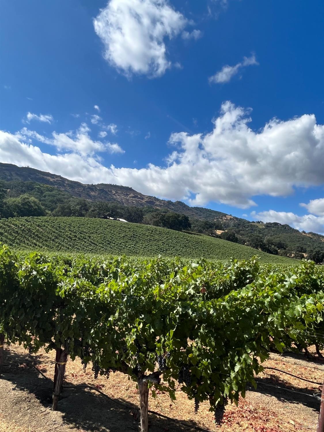4060 Monticello Road Napa CA 94558