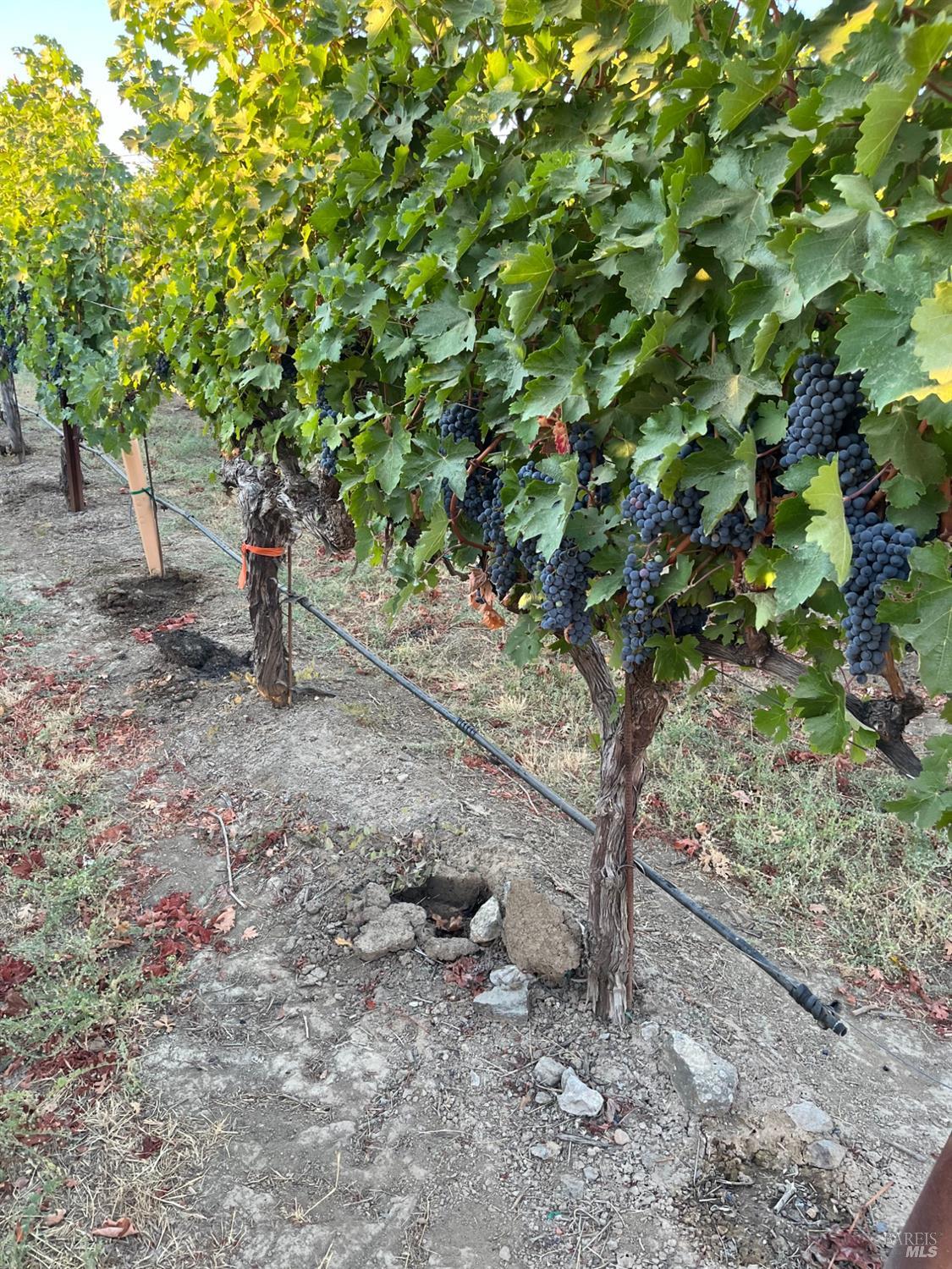 4060 Monticello Road Napa CA 94558
