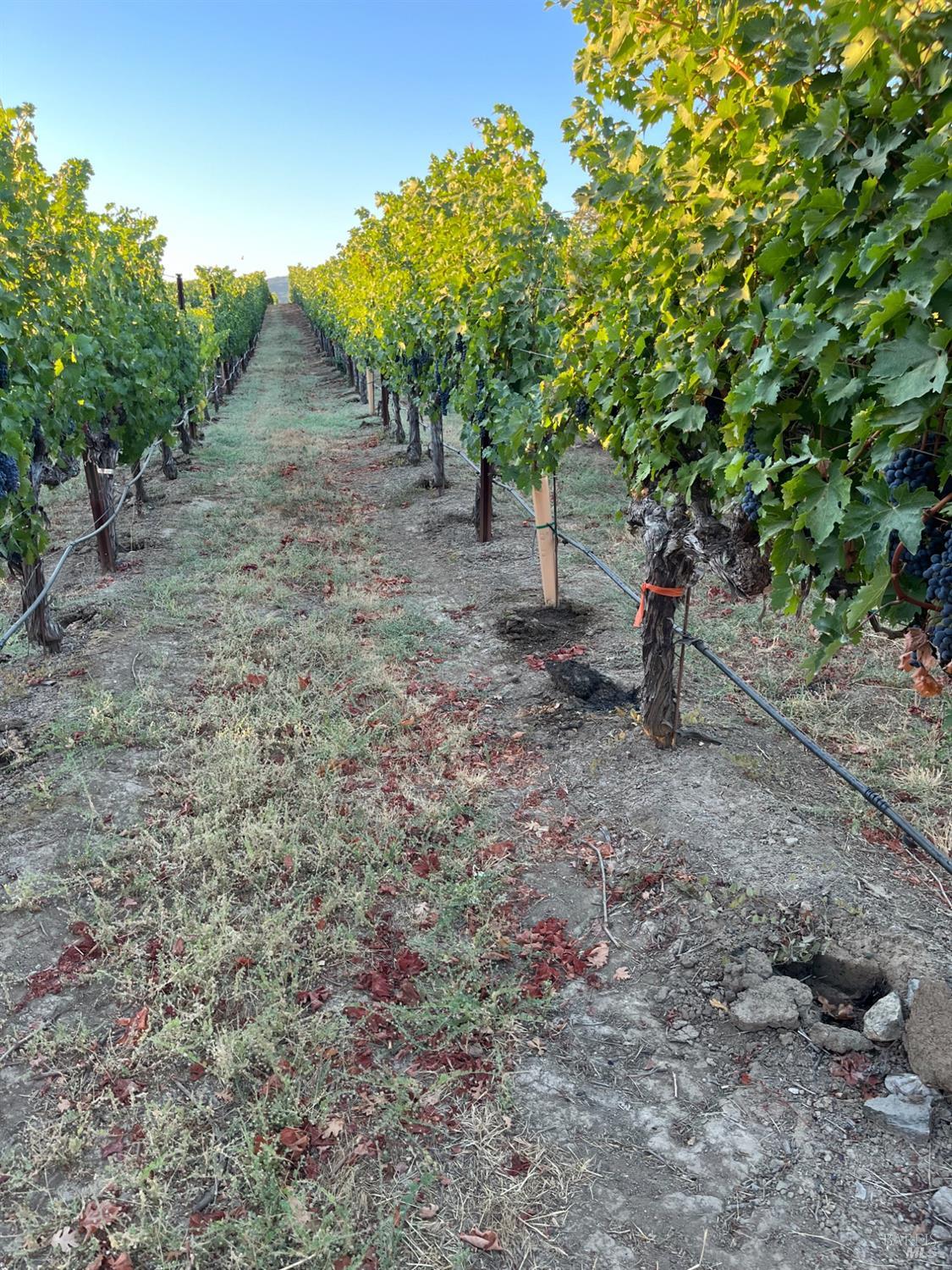 4060 Monticello Road Napa CA 94558