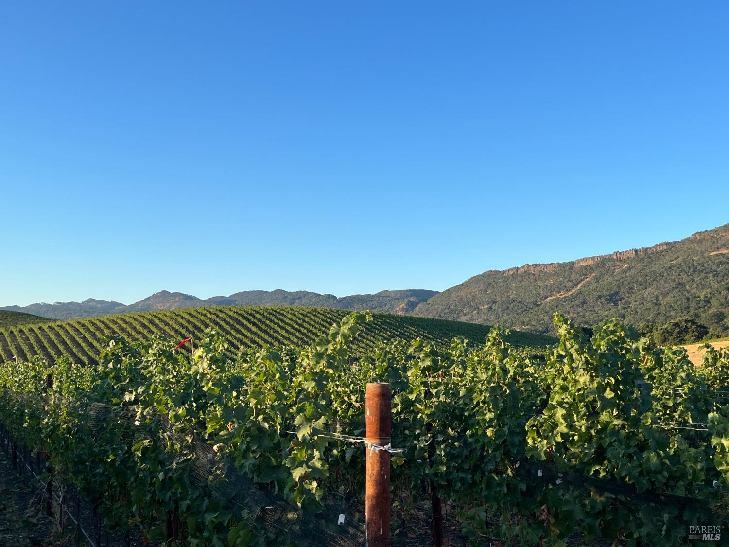 4060 Monticello Road Napa CA 94558