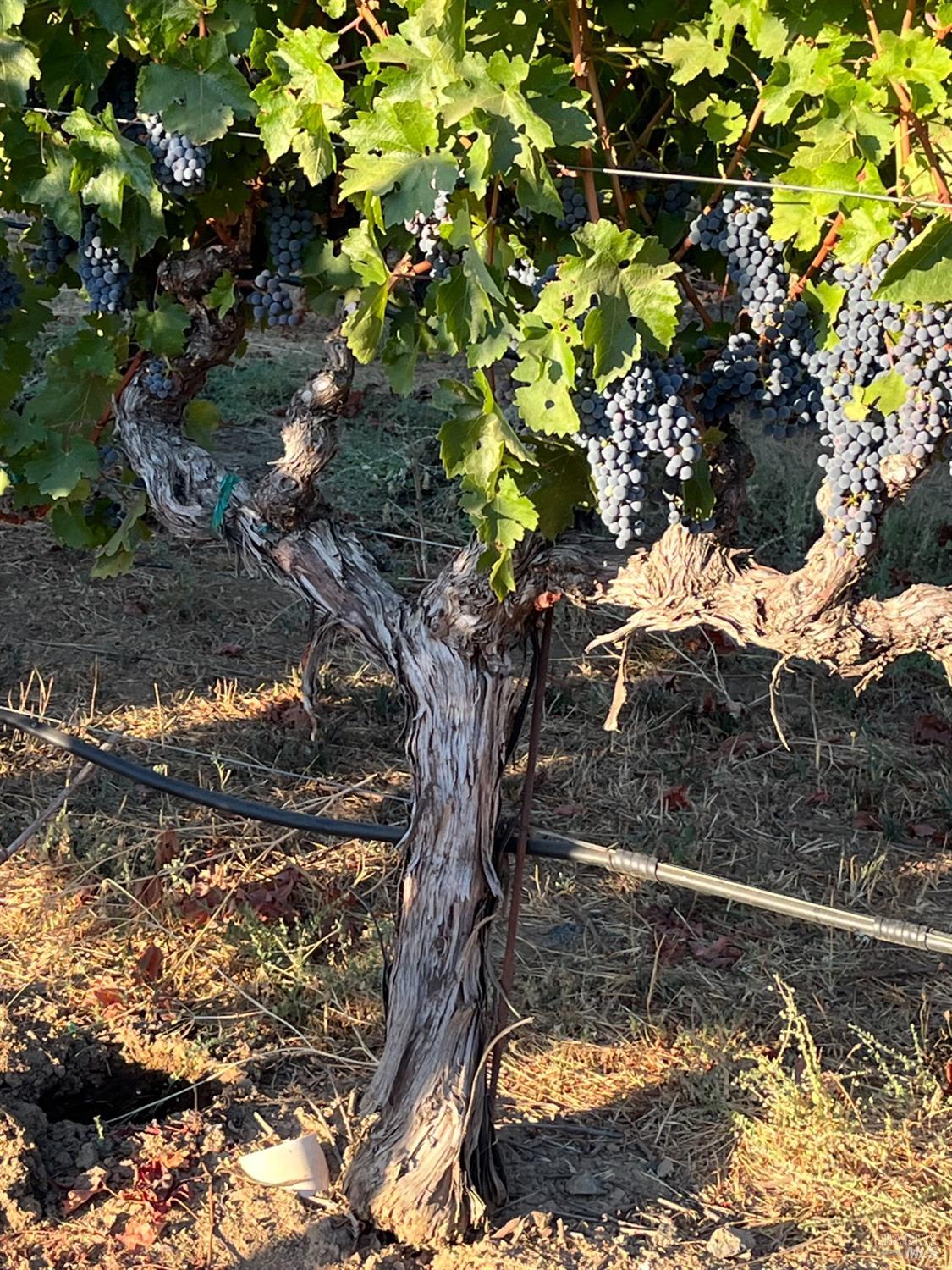 4060 Monticello Road Napa CA 94558