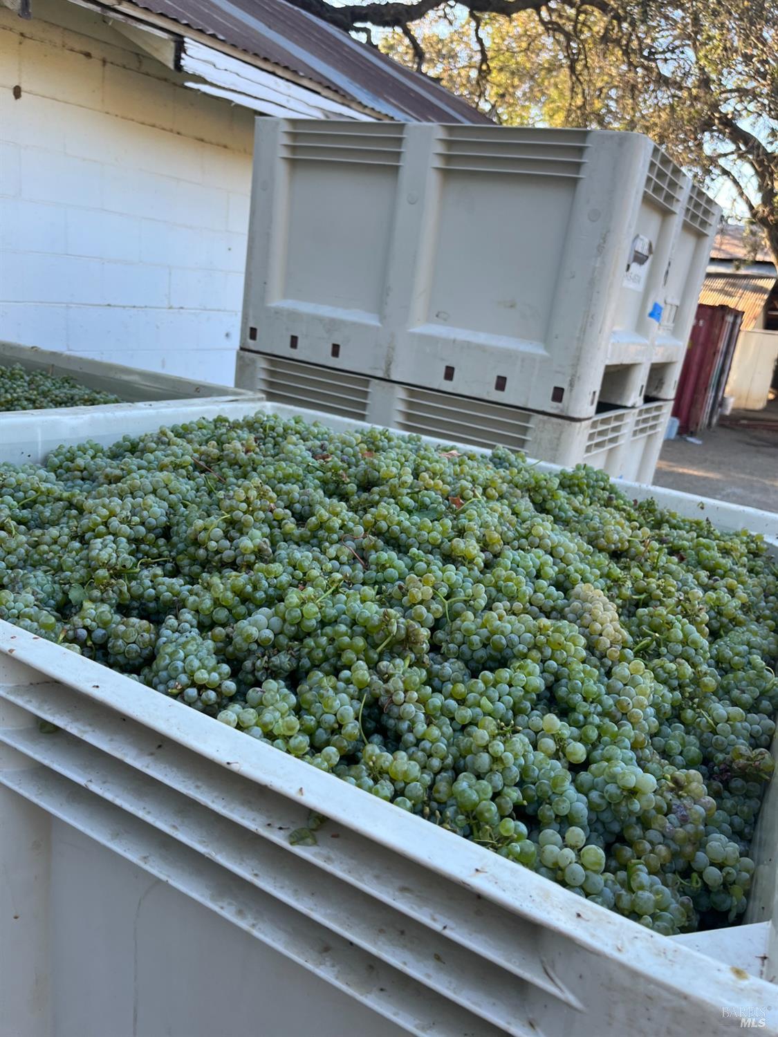 4060 Monticello Road Napa CA 94558