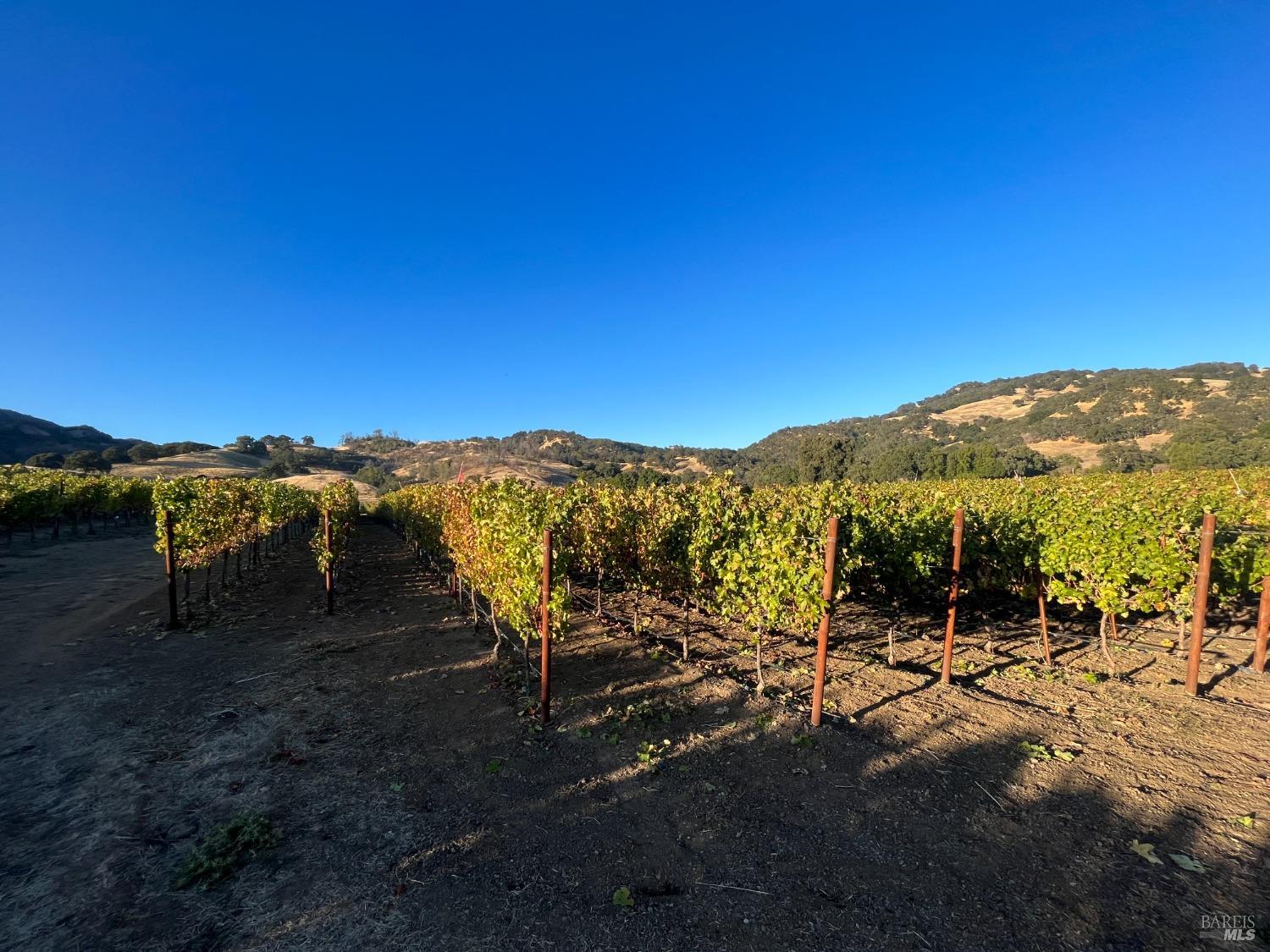 4060 Monticello Road Napa CA 94558