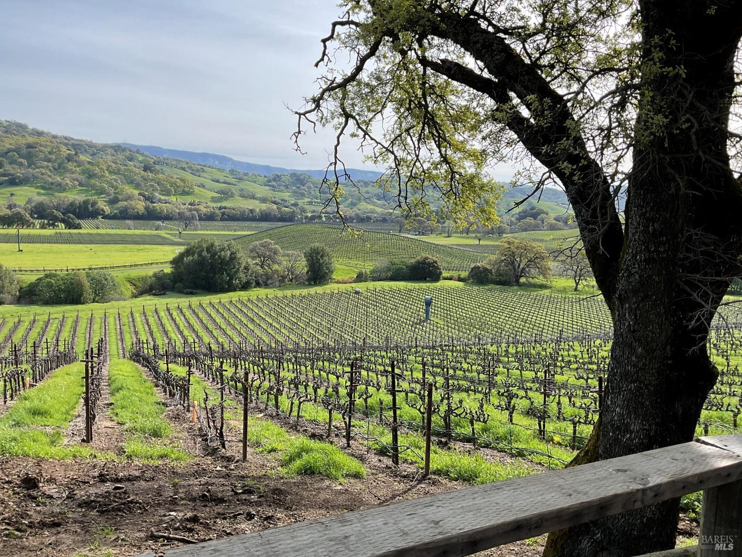 4060 Monticello Road Napa CA 94558