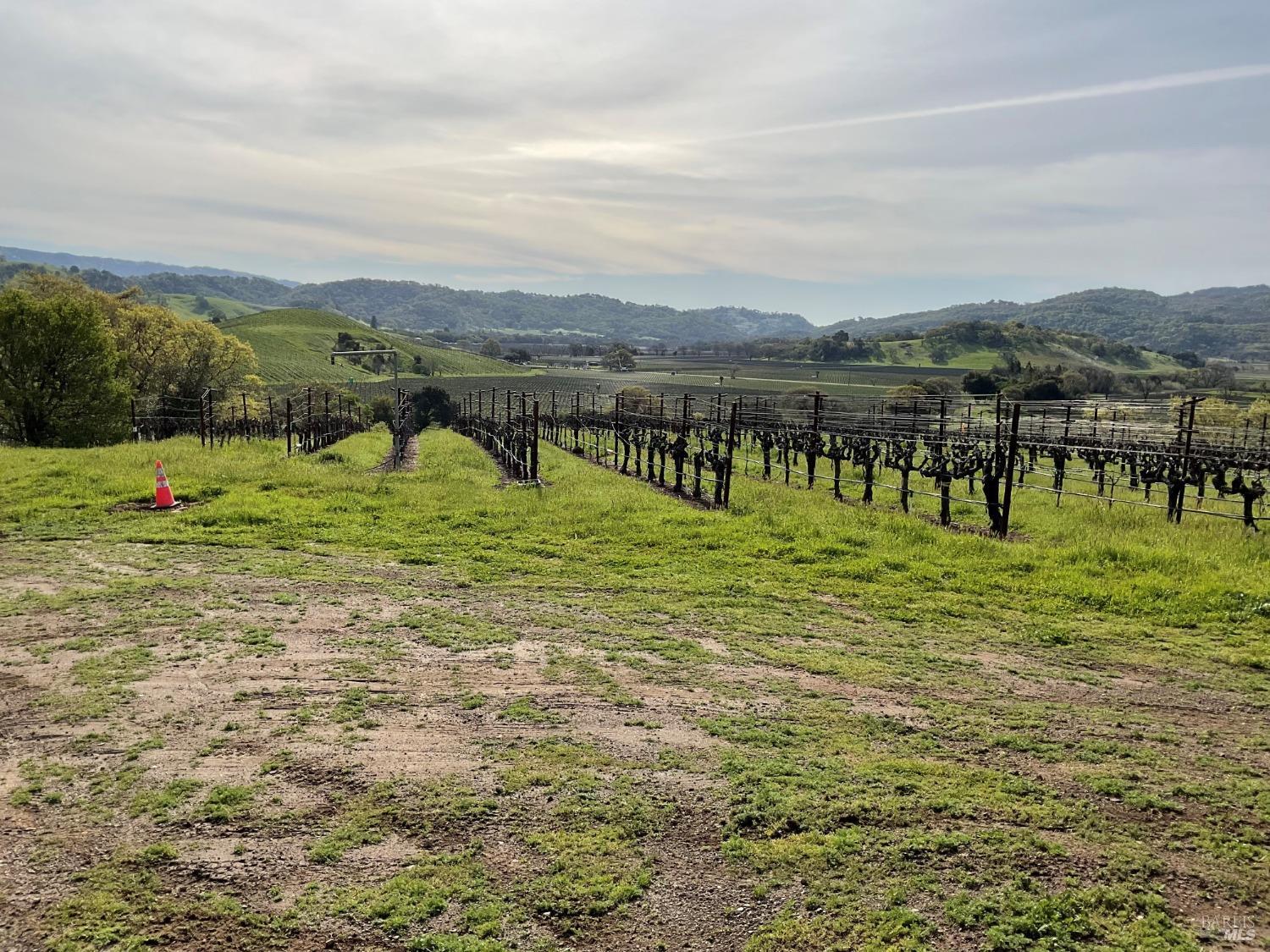 4060 Monticello Road Napa CA 94558