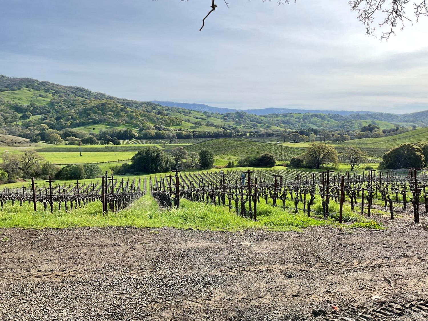 4060 Monticello Road Napa CA 94558