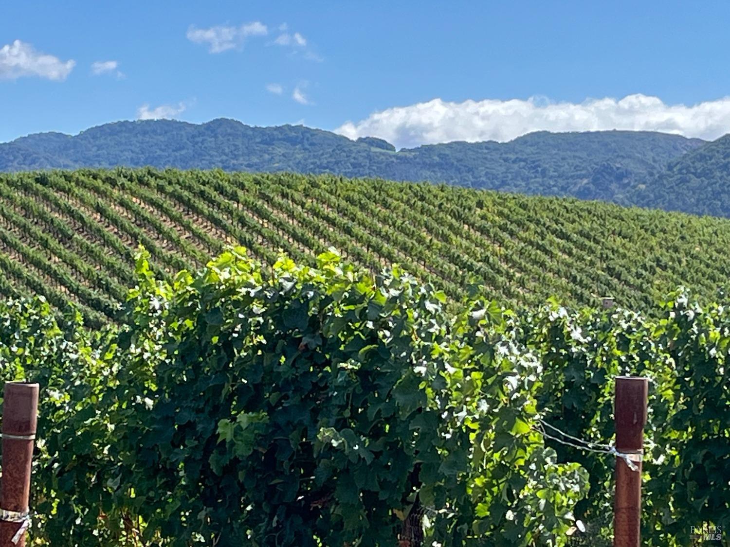4060 Monticello Road Napa CA 94558