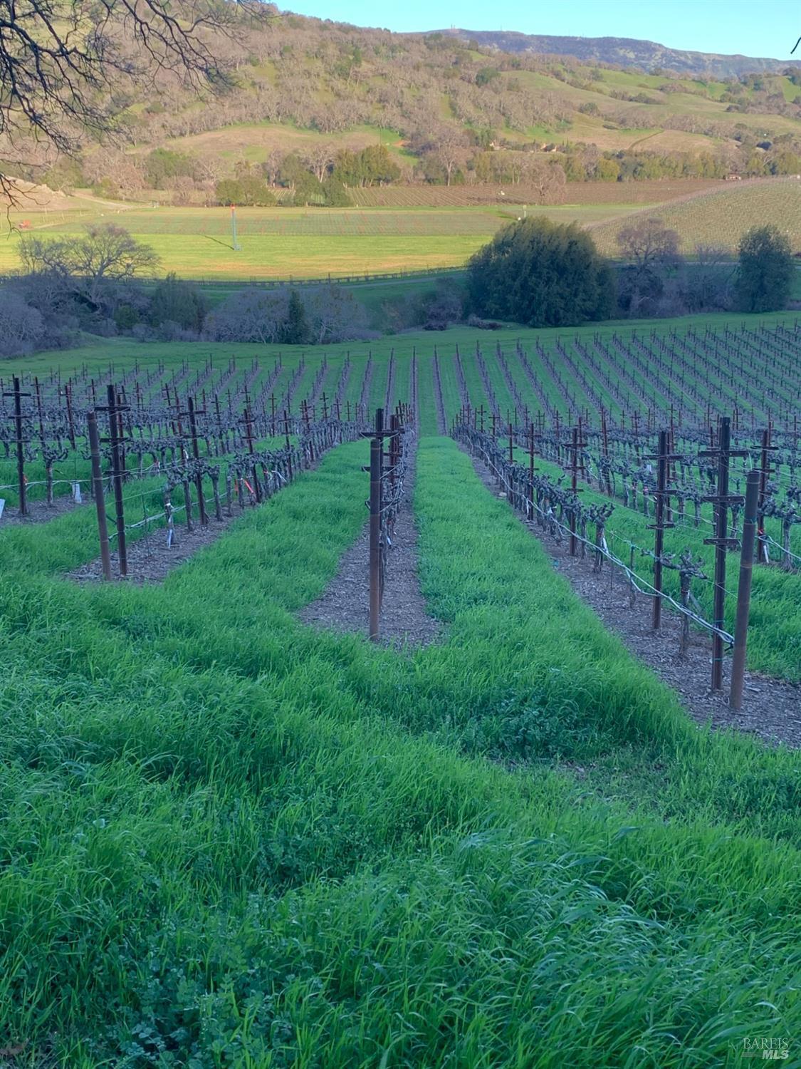 4060 Monticello Road Napa CA 94558