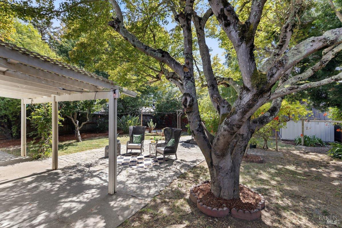 789 Clausing Avenue Novato CA 94945