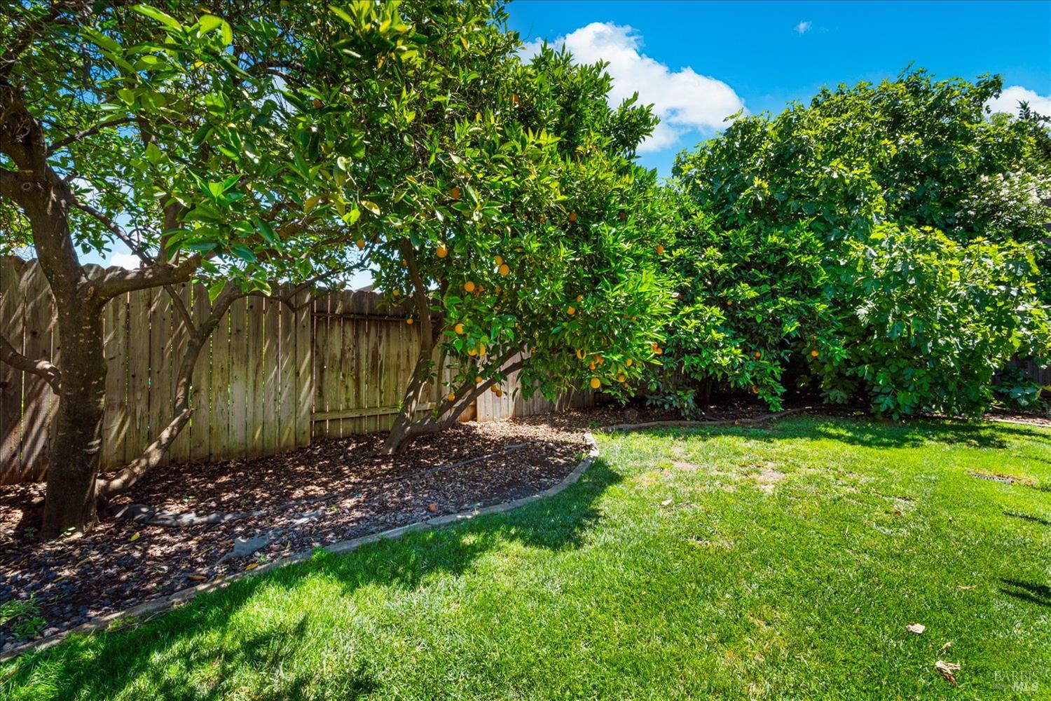 3012 Chestnut Court Fairfield CA 94533