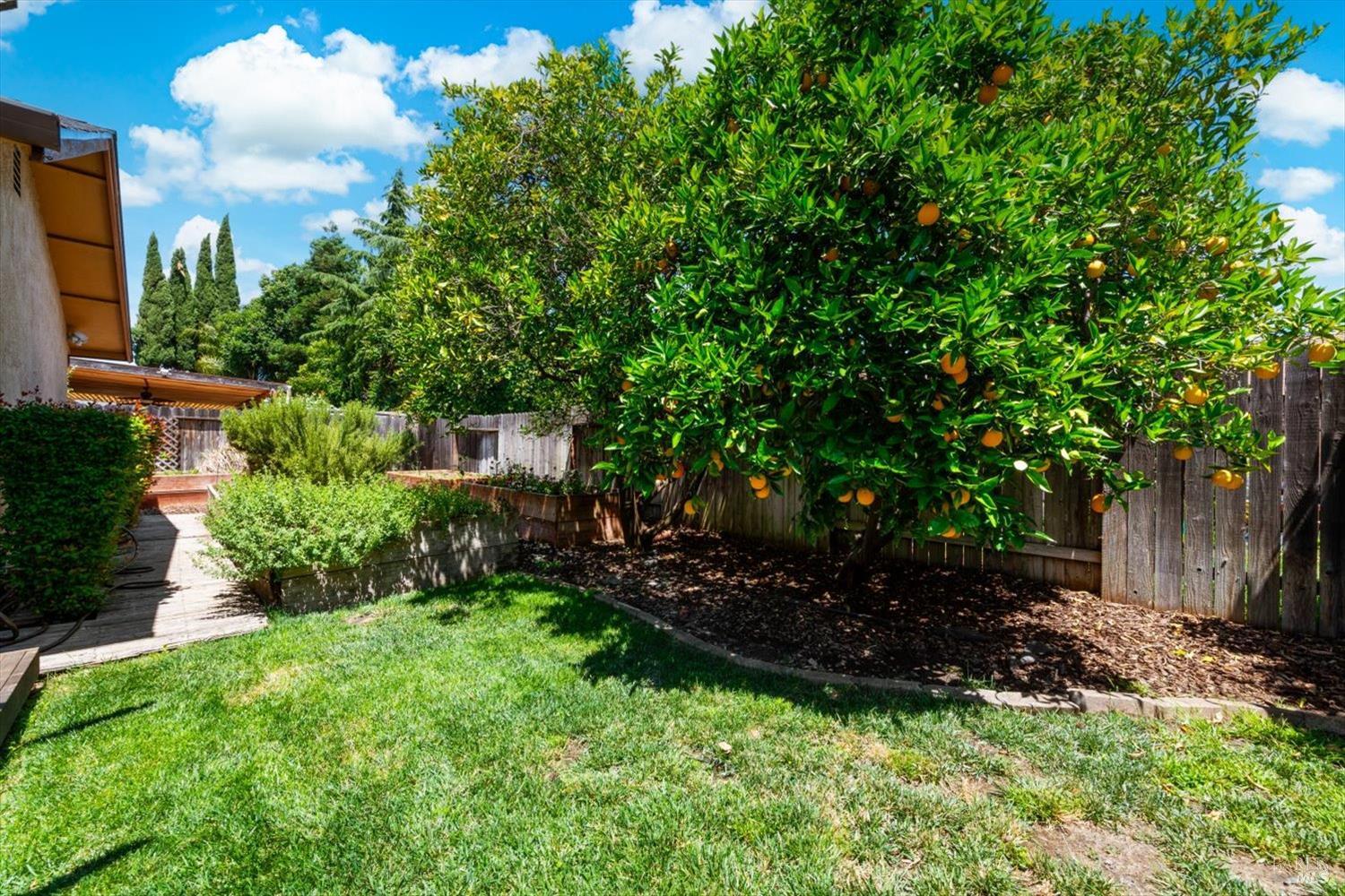 3012 Chestnut Court Fairfield CA 94533