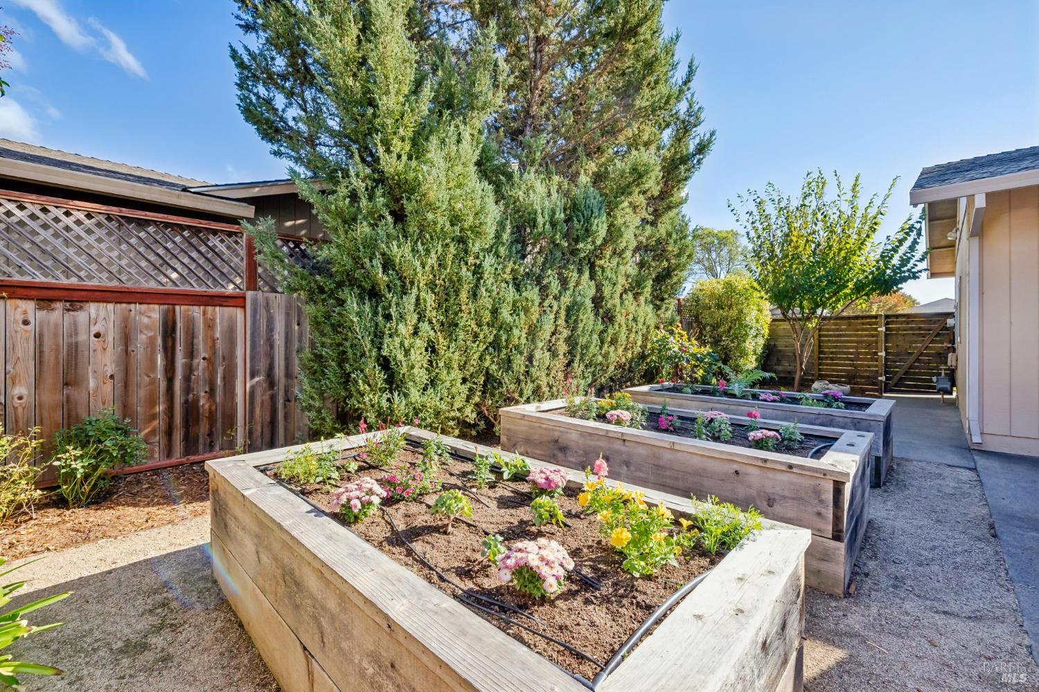 775 W Istvan Road Sonoma CA 95476