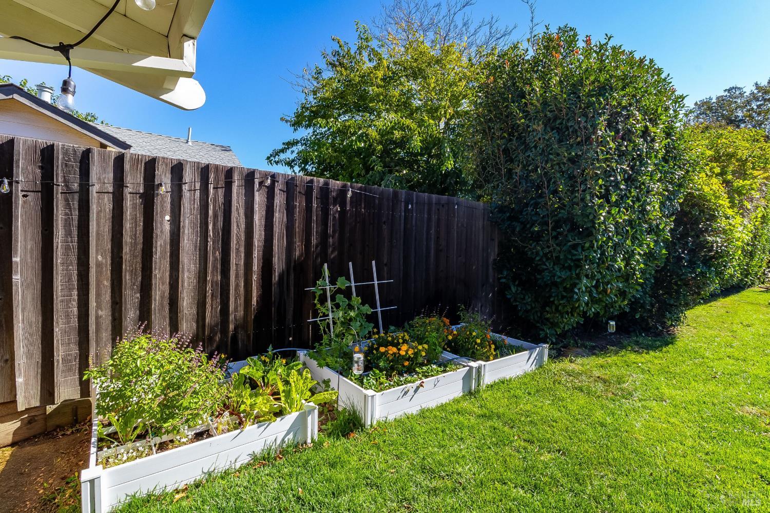 1546 Denkinger Court Concord CA 94521