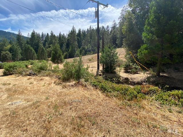 60731 Highway 271 Leggett CA 95585