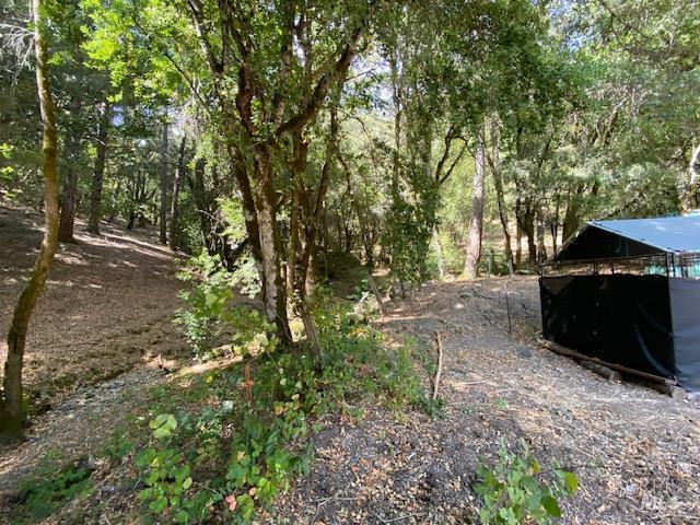 60731 Highway 271 Leggett CA 95585