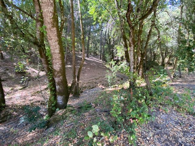 60731 Highway 271 Leggett CA 95585