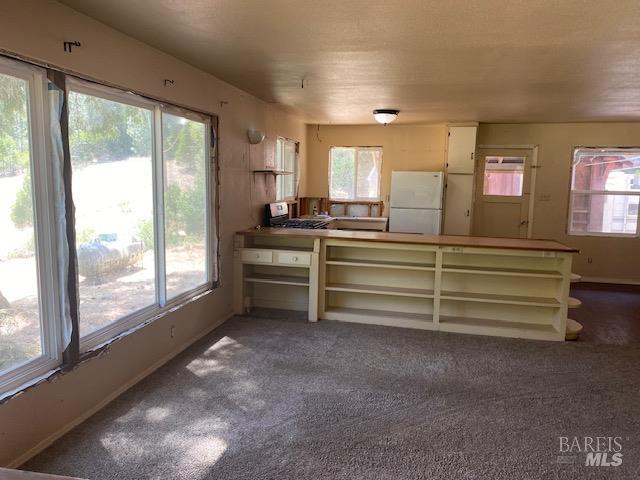 60731 Highway 271 Leggett CA 95585