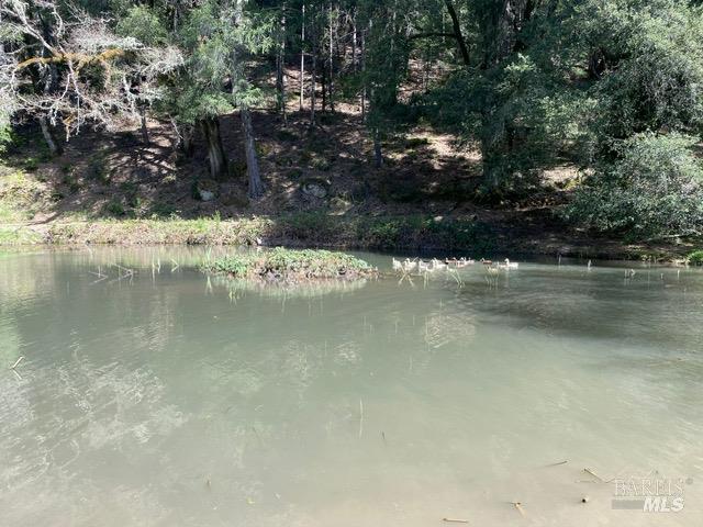 60731 Highway 271 Leggett CA 95585