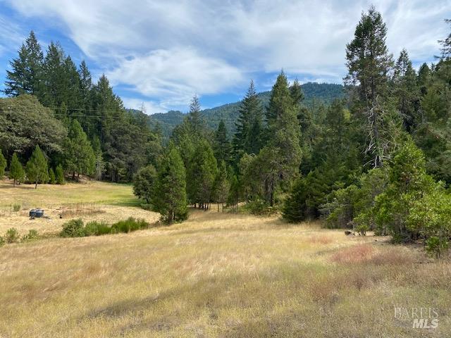 60731 Highway 271 Leggett CA 95585