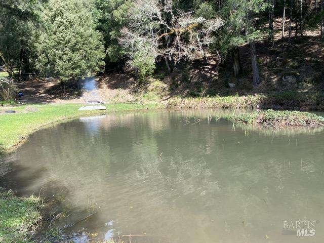 60731 Highway 271 Leggett CA 95585
