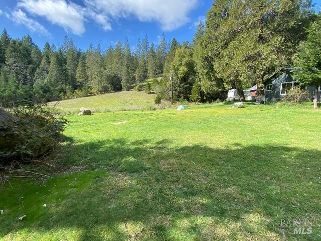 60731 Highway 271 Leggett CA 95585