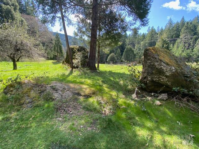 60731 Highway 271 Leggett CA 95585
