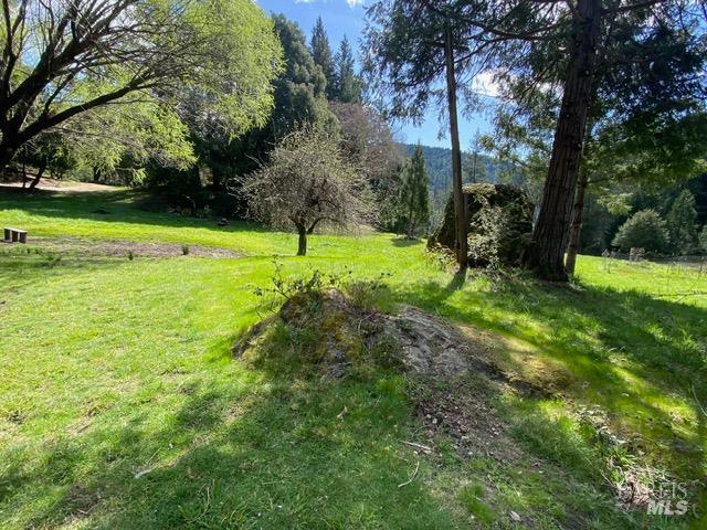 60731 Highway 271 Leggett CA 95585