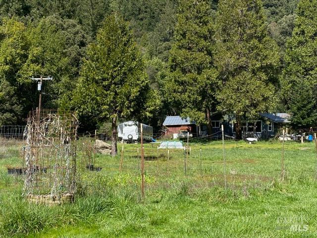 60731 Highway 271 Leggett CA 95585