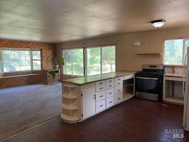 60731 Highway 271 Leggett CA 95585