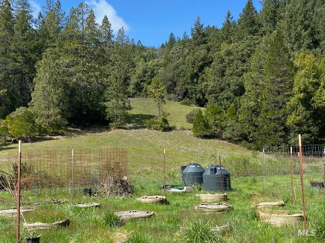 60731 Highway 271 Leggett CA 95585