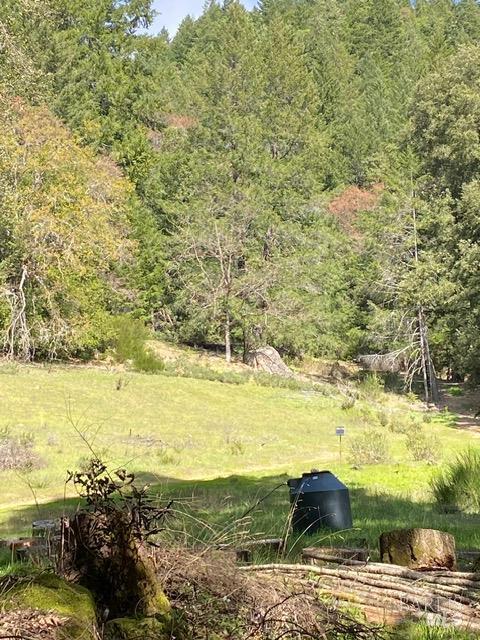 60731 Highway 271 Leggett CA 95585