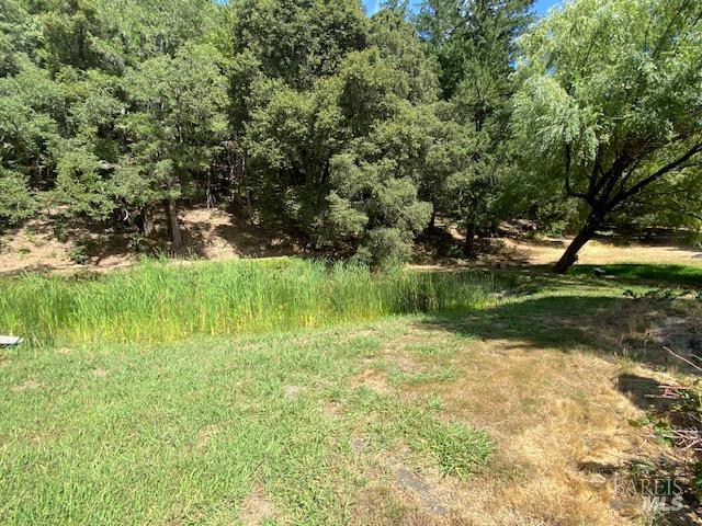 60731 Highway 271 Leggett CA 95585