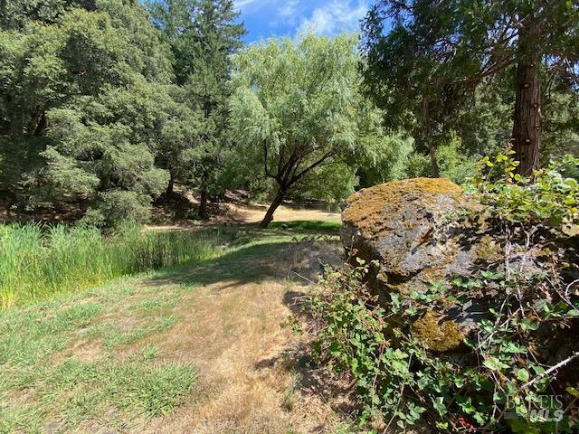 60731 Highway 271 Leggett CA 95585