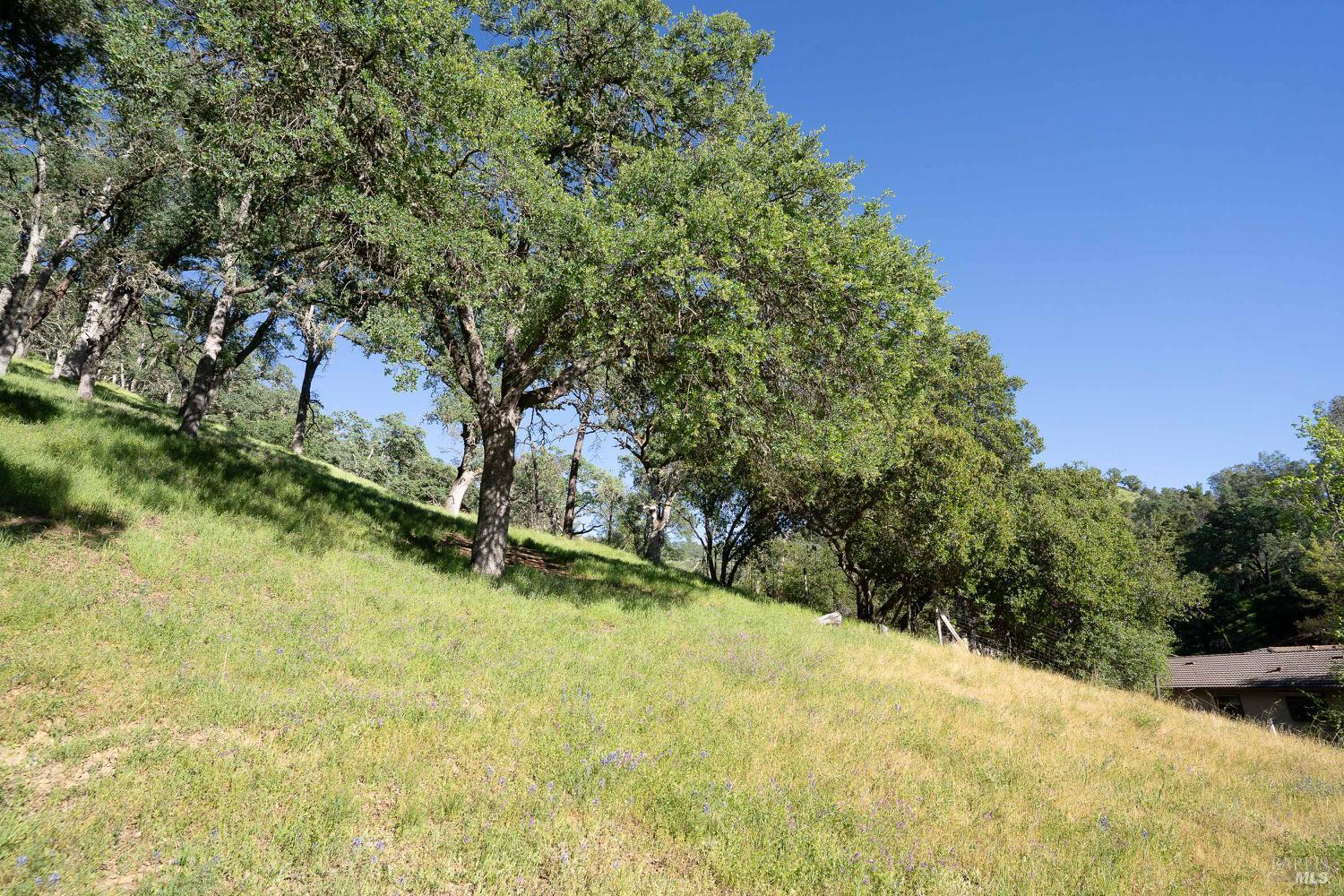 1486 Steele Canyon Road Napa CA 94558