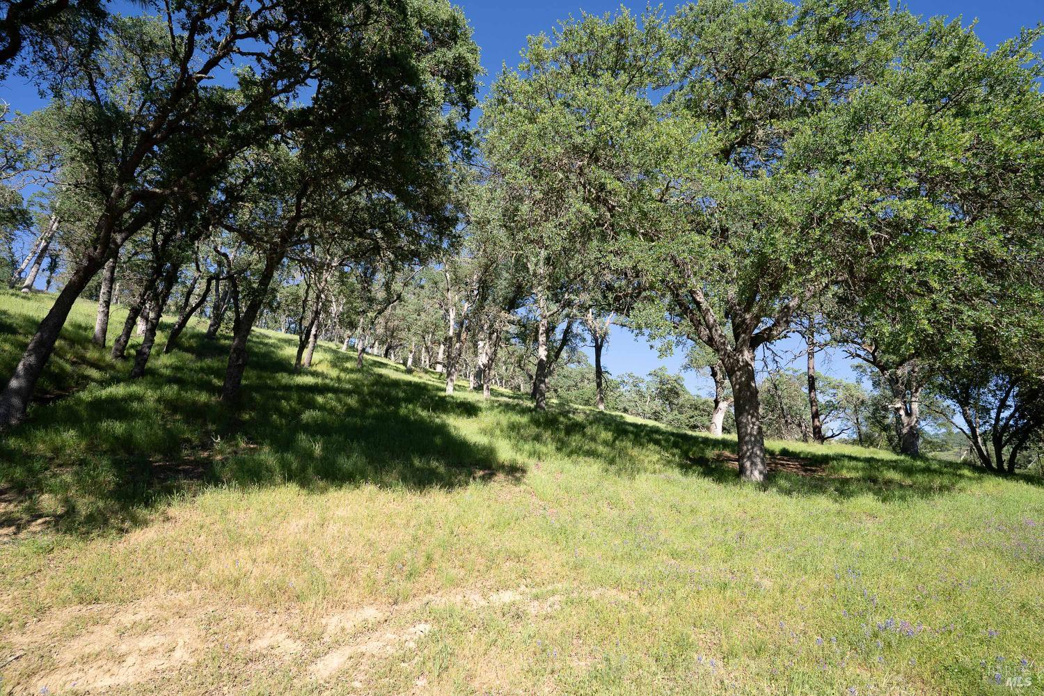 1486 Steele Canyon Road Napa CA 94558