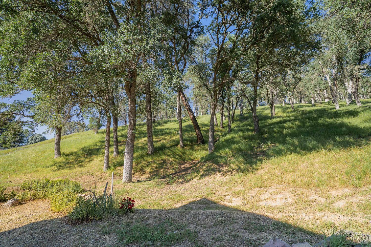 1486 Steele Canyon Road Napa CA 94558
